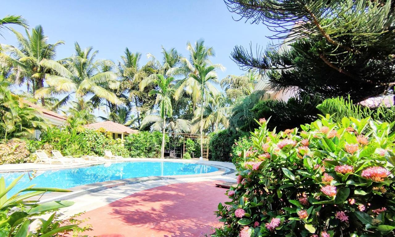 Coconut Grove Beach Resort Colva Exteriör bild